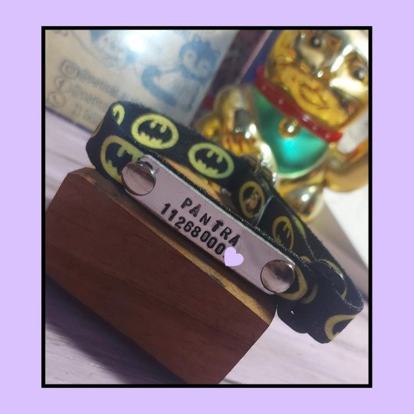 Producto - Collar identificatorio regulable ANIMADO tamaño CHICO