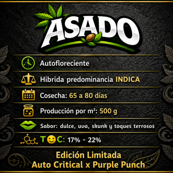 Producto - SEMILLA ELEFANTE BLANCO ASADO