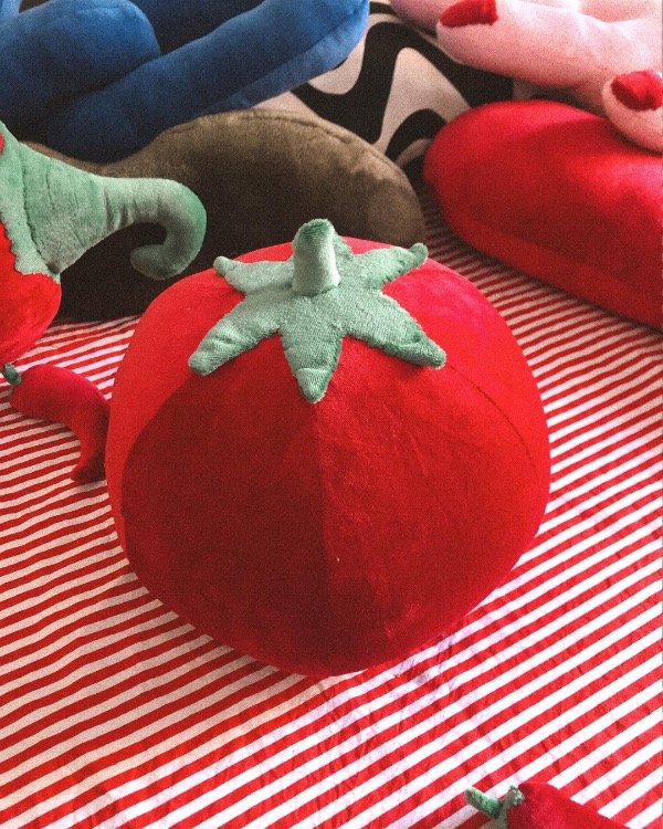 Producto - Almohadón POMODORO