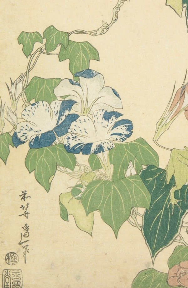 Miniatura de producto - 8