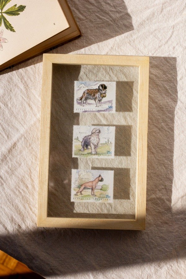 Producto - Estampillas Perros II