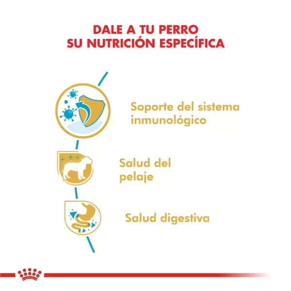 Producto - Alimento Royal Canin Caniche Junior - 2