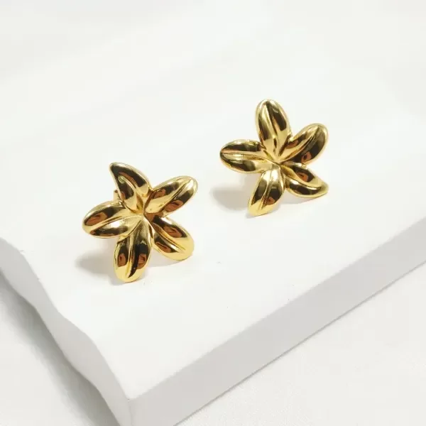 Producto - Aros Fresia