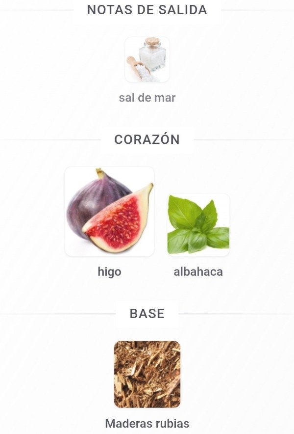 Producto - Perfume Terra Profonda Black Fig and Basil 100ml Zara - 2