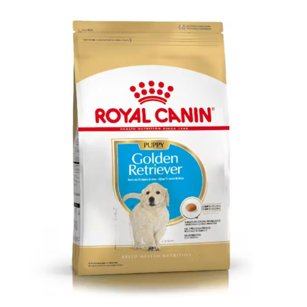 Producto - Golden Retriever cachorro