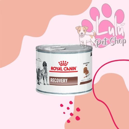 Producto - LATA ROYAL CANIN RECOVERY x 195gr