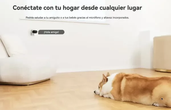 Miniatura de producto - 8