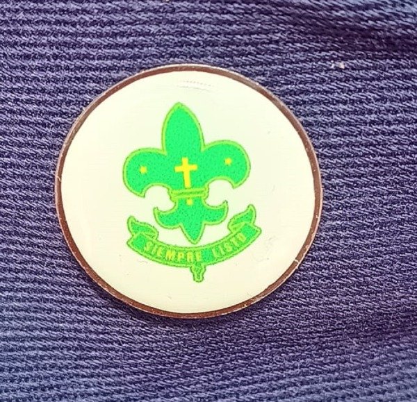 Producto - Pin  Flor de Lis (USCA)