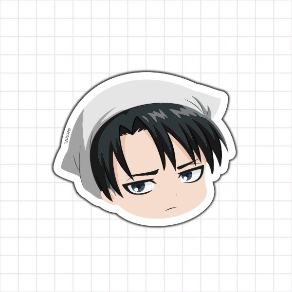 Producto - Levi limpieza - 0
