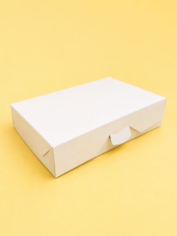 Producto - BOX  TAPA BISAGRA COD.252 27x5x20 - 1