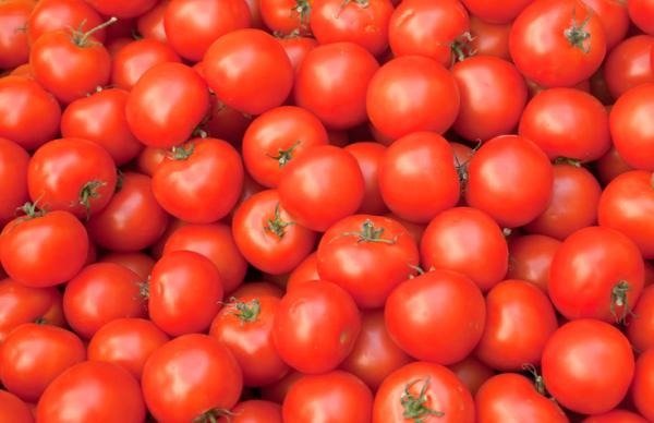 Producto - Tomate redondo agro UTT