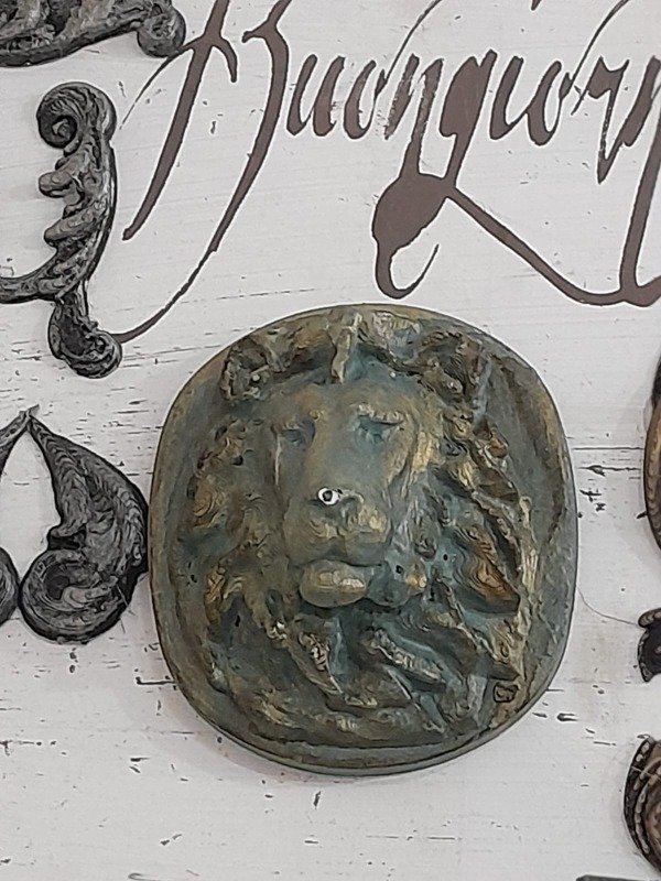 Producto - Leon Bronce