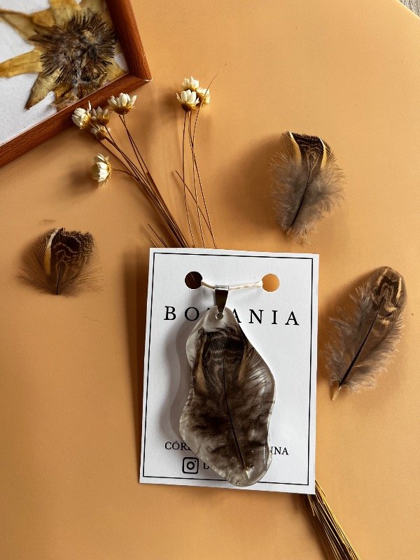 Producto - Pluma 2 - 1