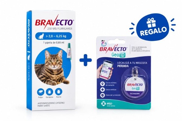 Producto - Bravecto Gatos 2,8 a 6,25kg Pipeta 3 meses de duracion