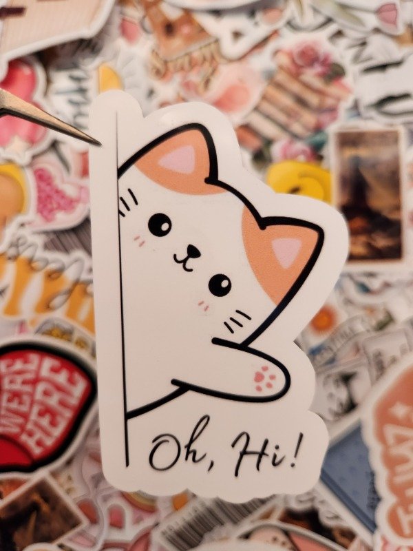 Producto - 315 - Gatito "Oh, hi!"
