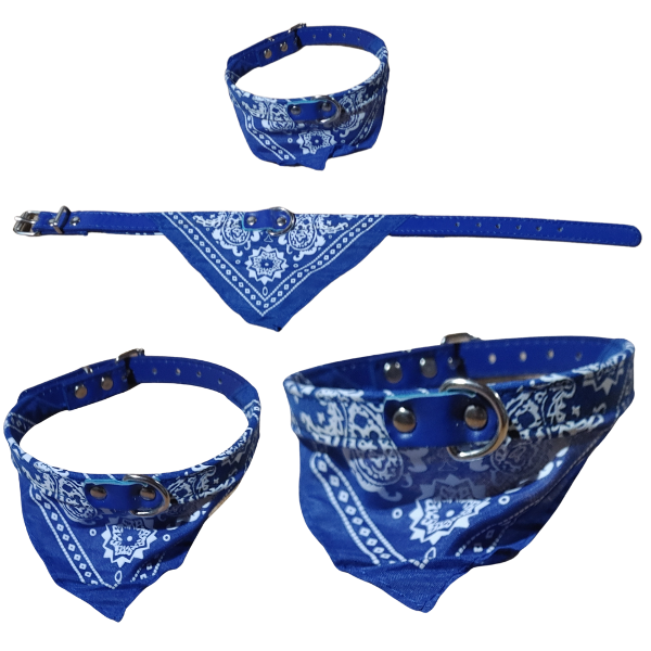 Producto - Collar Para Perros chicos Con Pañuelo Varios Colores 38 Cm - 2