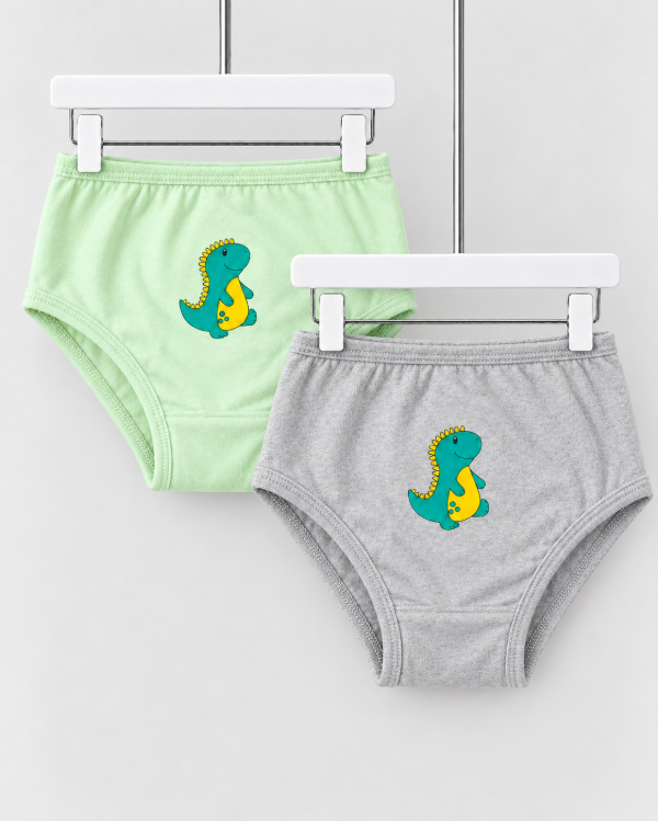 Producto - Pack de bombacha  Dino - 0