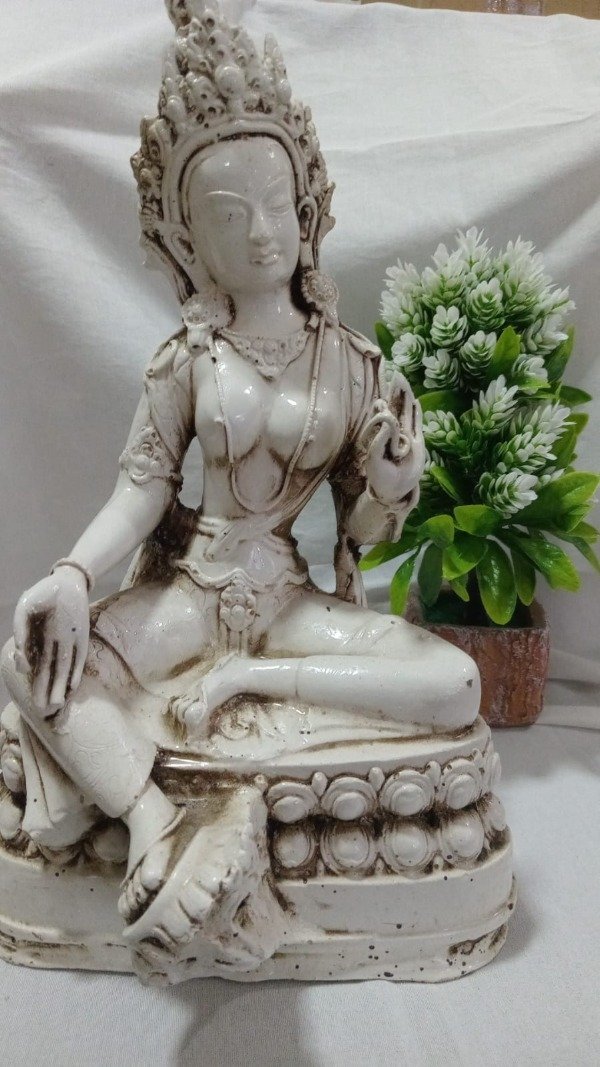Producto - DIOSA SHIVA