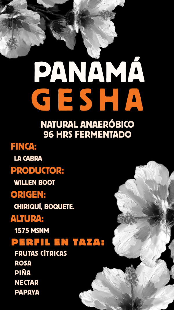 Producto - Panamá, Gesha Natural anaeróbico 96 Hrs fermentado.