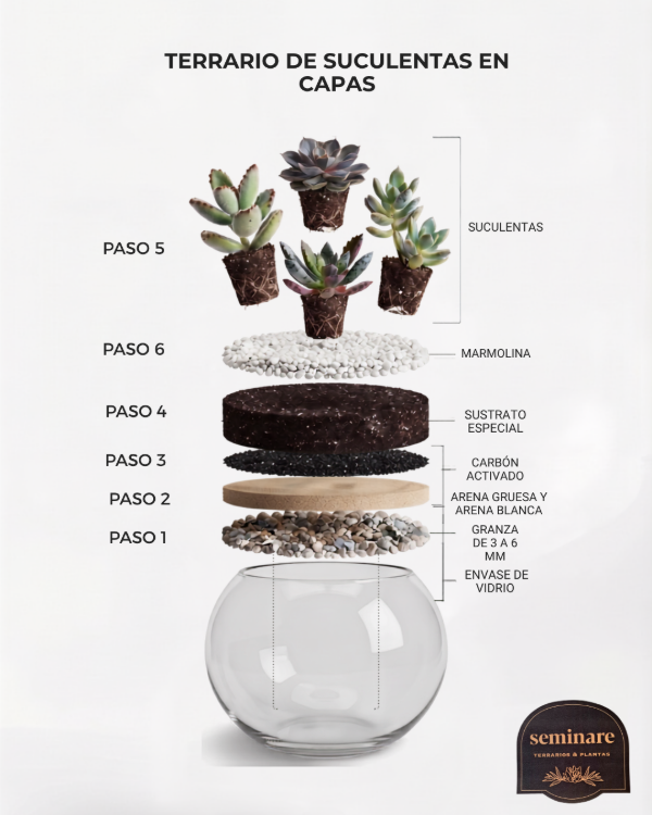 Producto - KIT PARA ARMAR TERRARIOS - 3