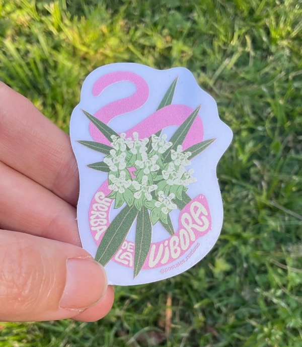 Producto - Sticker transparente UV - Yerba de la Víbora