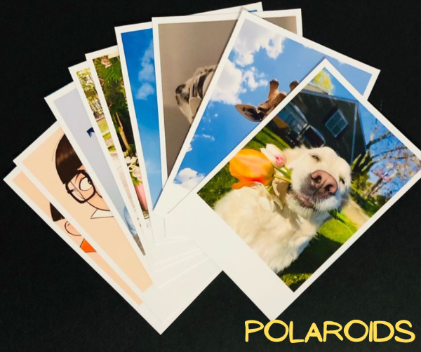 Producto - Polaroid PACK X6