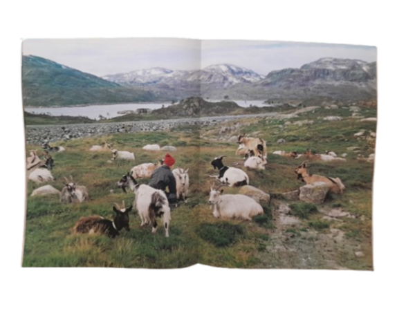 Miniatura de producto - 2