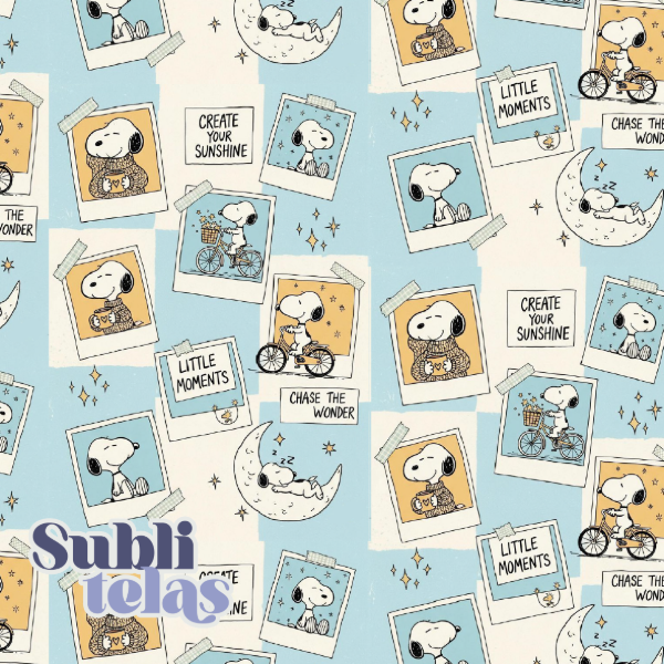 Producto - P379 Cordura 100x65cm