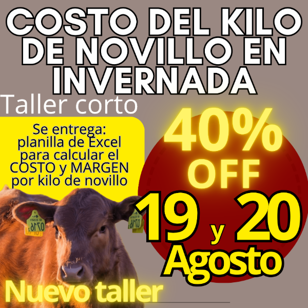 Producto - Taller corto: cálculo del costo del kilo de novillo
