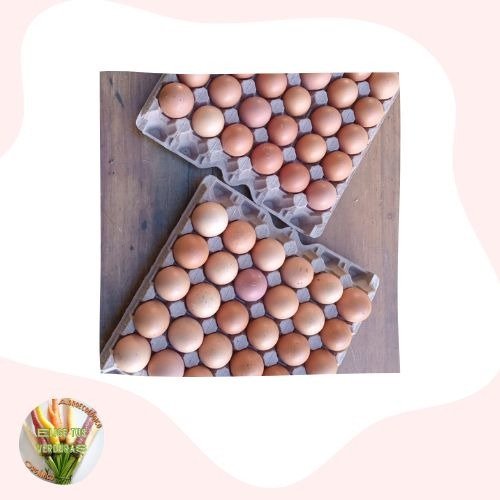 Producto - Huevos Pastoriles