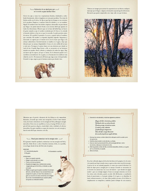 Miniatura de producto - 9