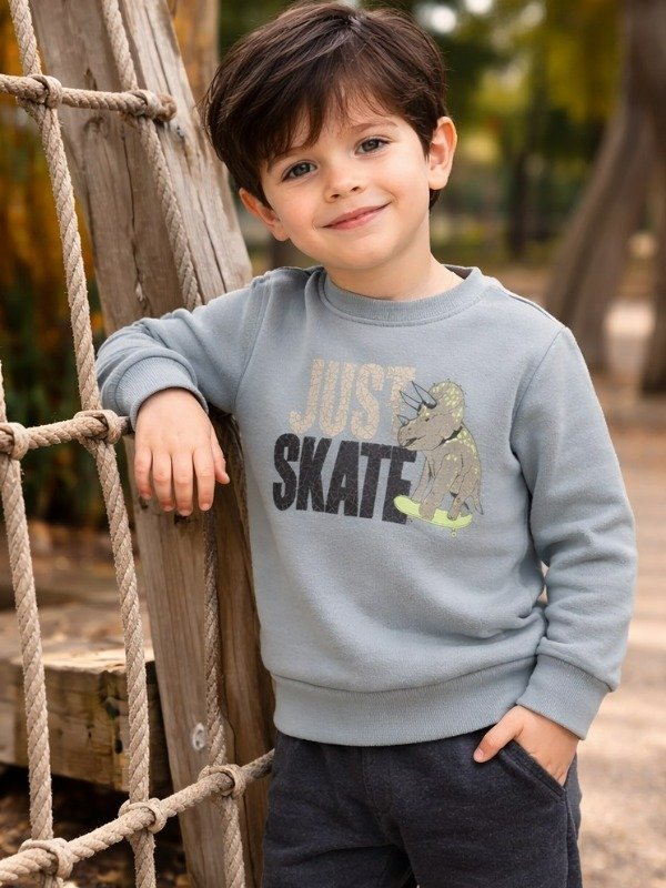 Producto - Buzo frisado dino verde