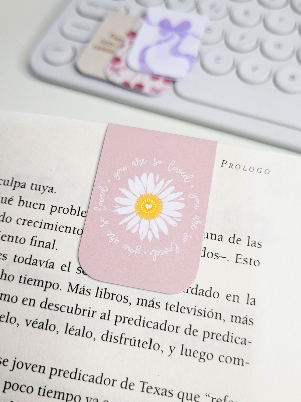 Producto - SEÑALADOR MAGNETICO #33