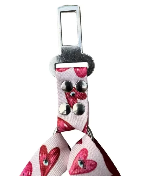 Producto - Cinturón seguridad doble M/L