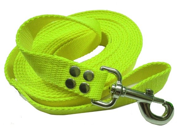 Producto - Correa de perro 5 metros 2,5 cm mosquetón reforzado vs colores - 2