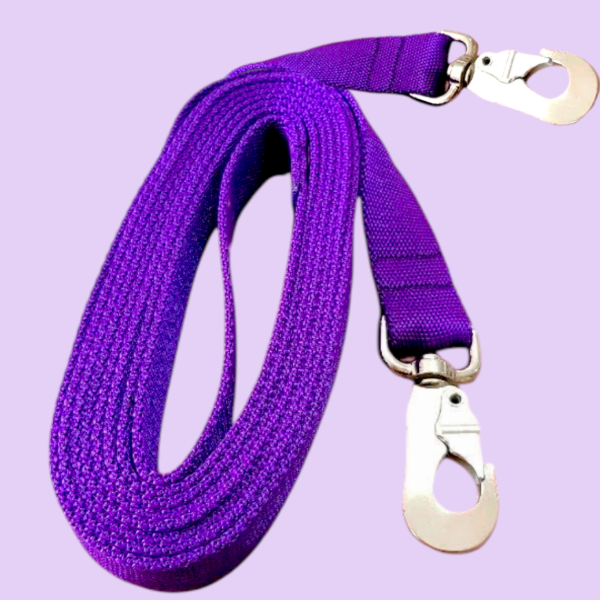Producto - CORREA CON SEGURO AL COLLAR LISA