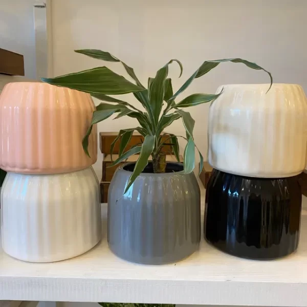 Producto - MACETA BAMBOO