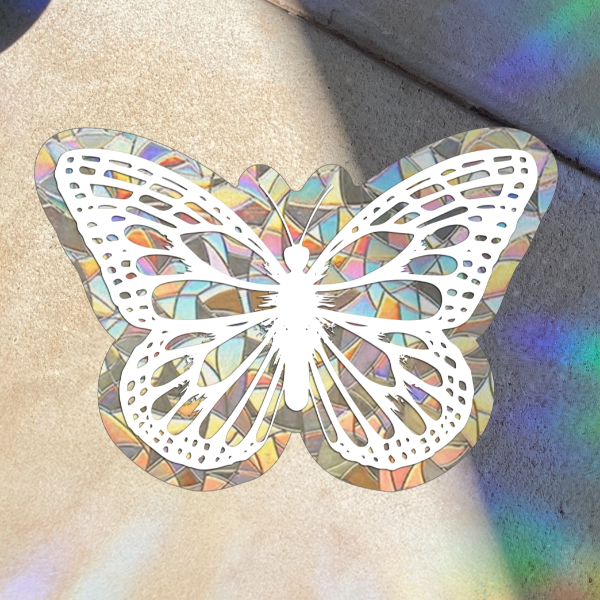 Producto - Mariposa Blanca