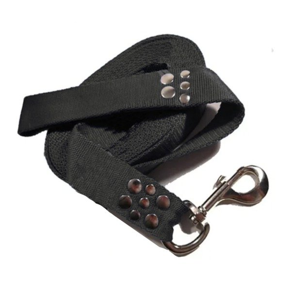 Producto - Correa de perro Strong x 4 cm de ancho con mosquetón de caballo - 2