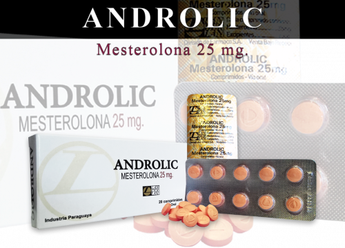 Producto - ANDROLIC LANDERLAN PROVIRON