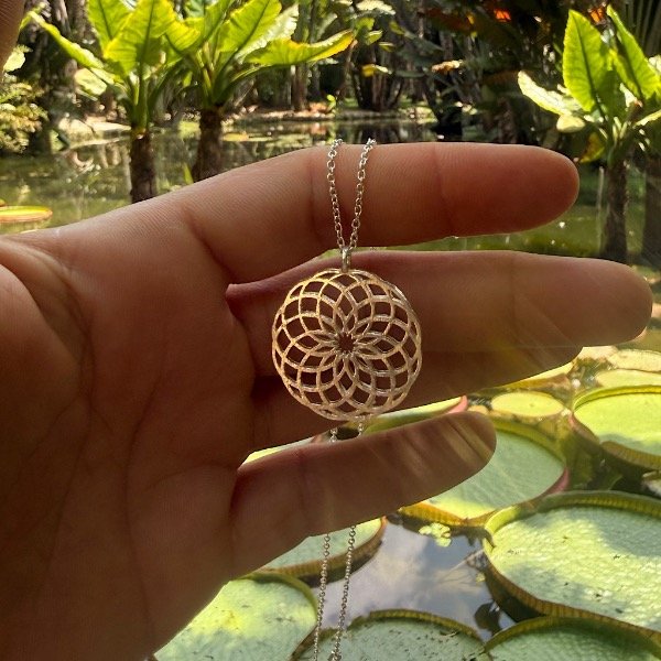 Producto - Collar Toroide con cadena