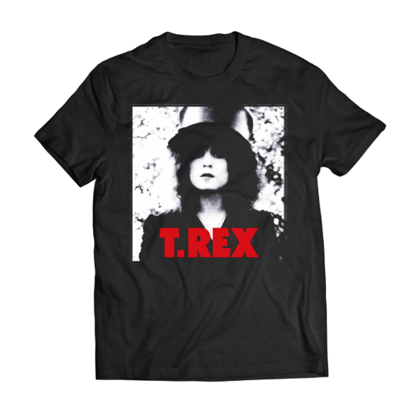 Producto - Remera T Rex The Slider