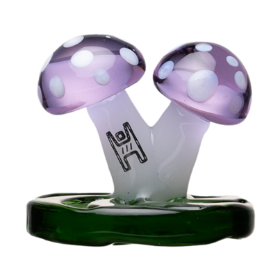 Producto - MUSHROOM CAP