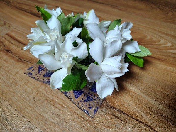 Producto - Jazminero chico