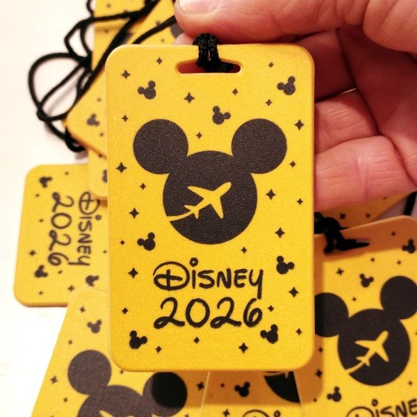 Producto - Identificador agente Disney mín 24u - 3