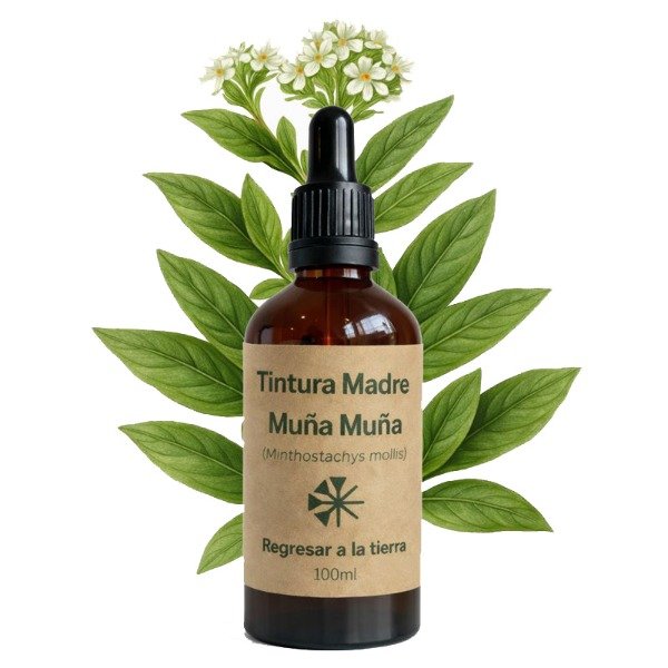 Producto - Tintura Madre de Muña Muña 100ml