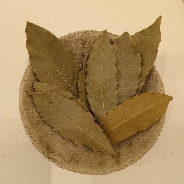 Producto - Laurel