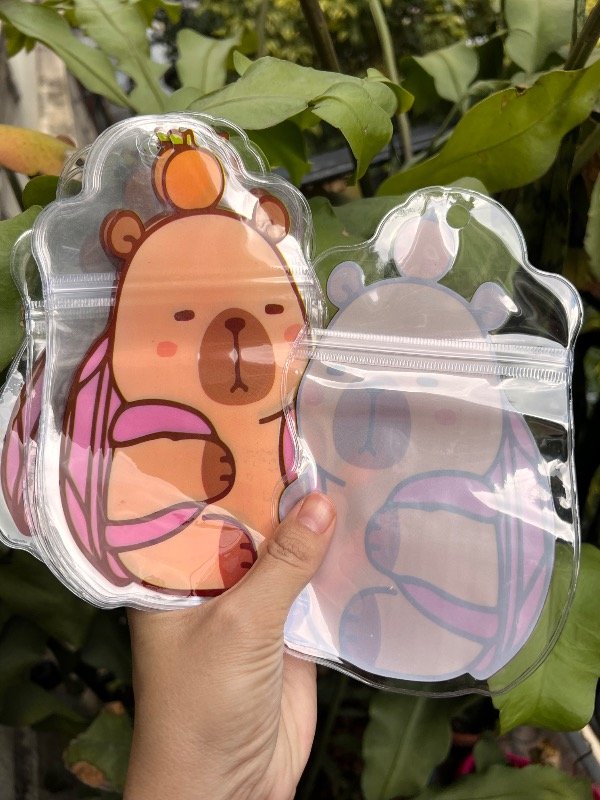 Producto - 10 sobres plásticos con cierre capibara