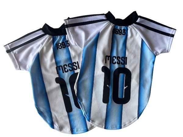 Producto - Camiseta selección 2026