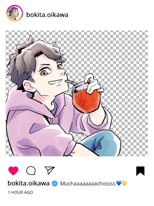 Producto - Ig de Oikawa argentino